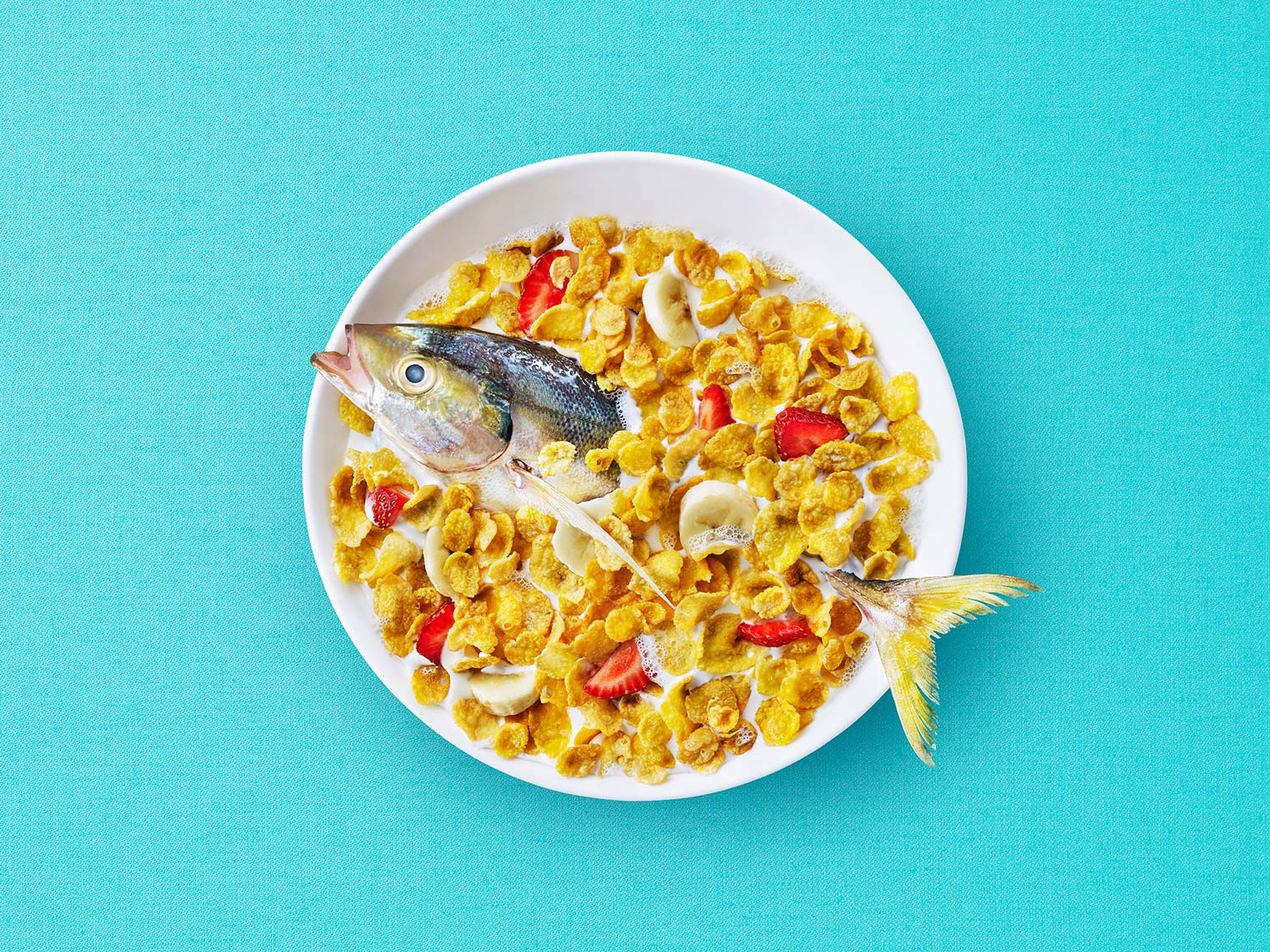 044_F093_food_shot_fish_cereal_milk_BITE_Studio_Wing_Chan