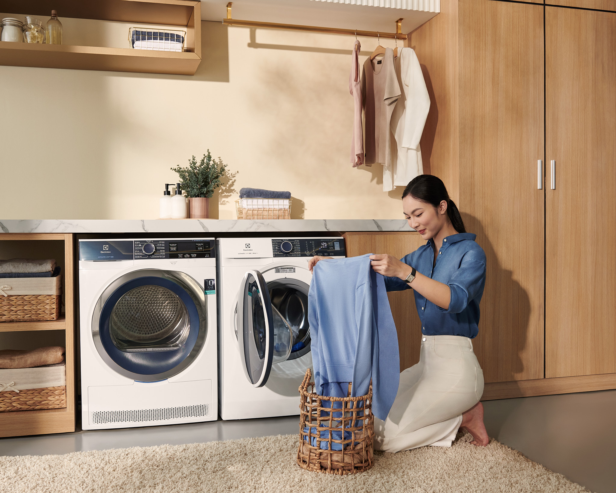 Electrolux_10084