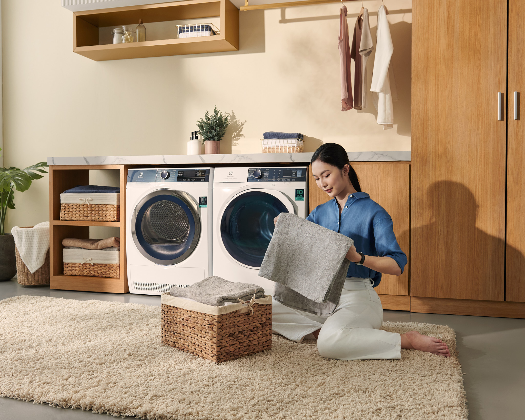 Electrolux_10300