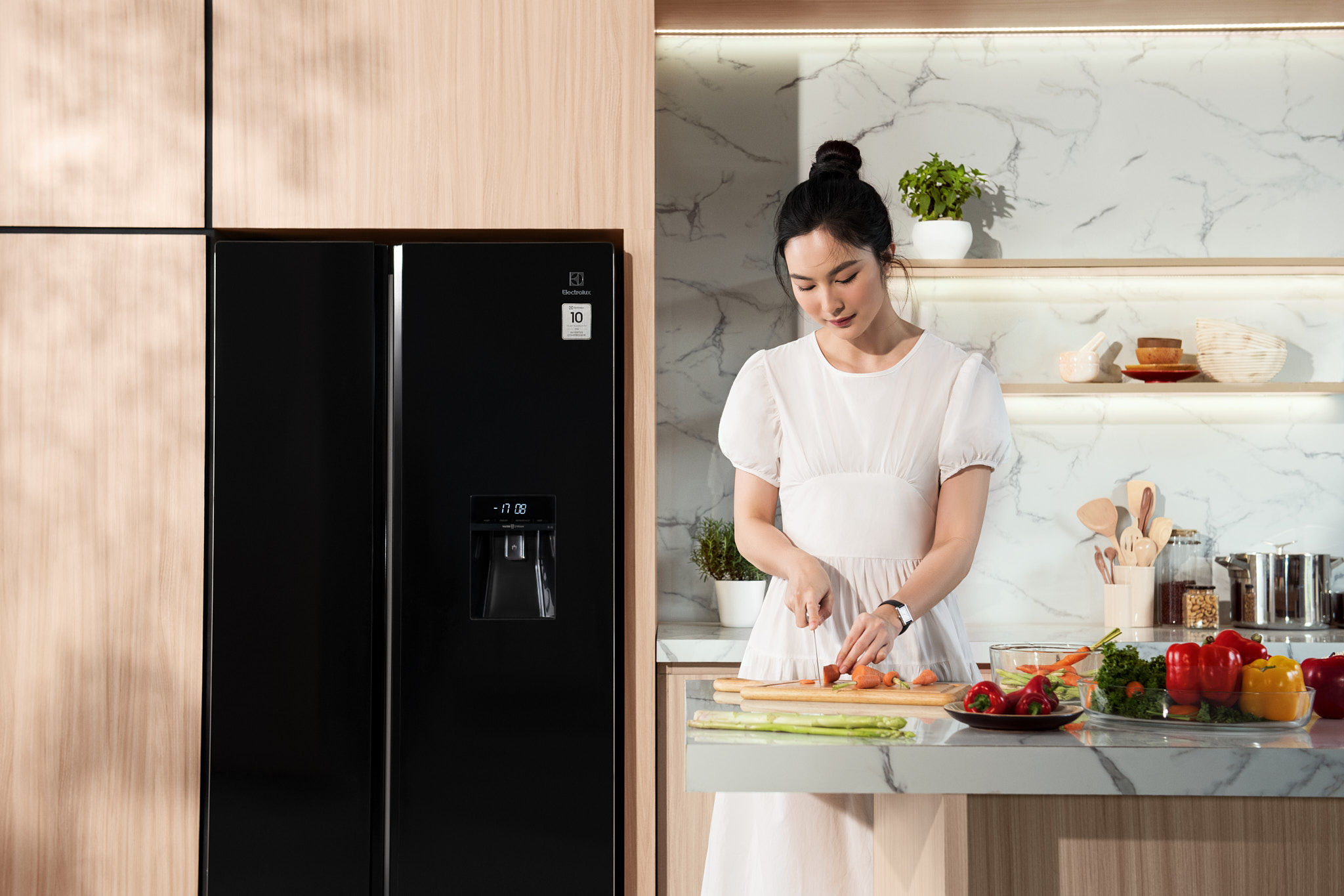 Electrolux_11029
