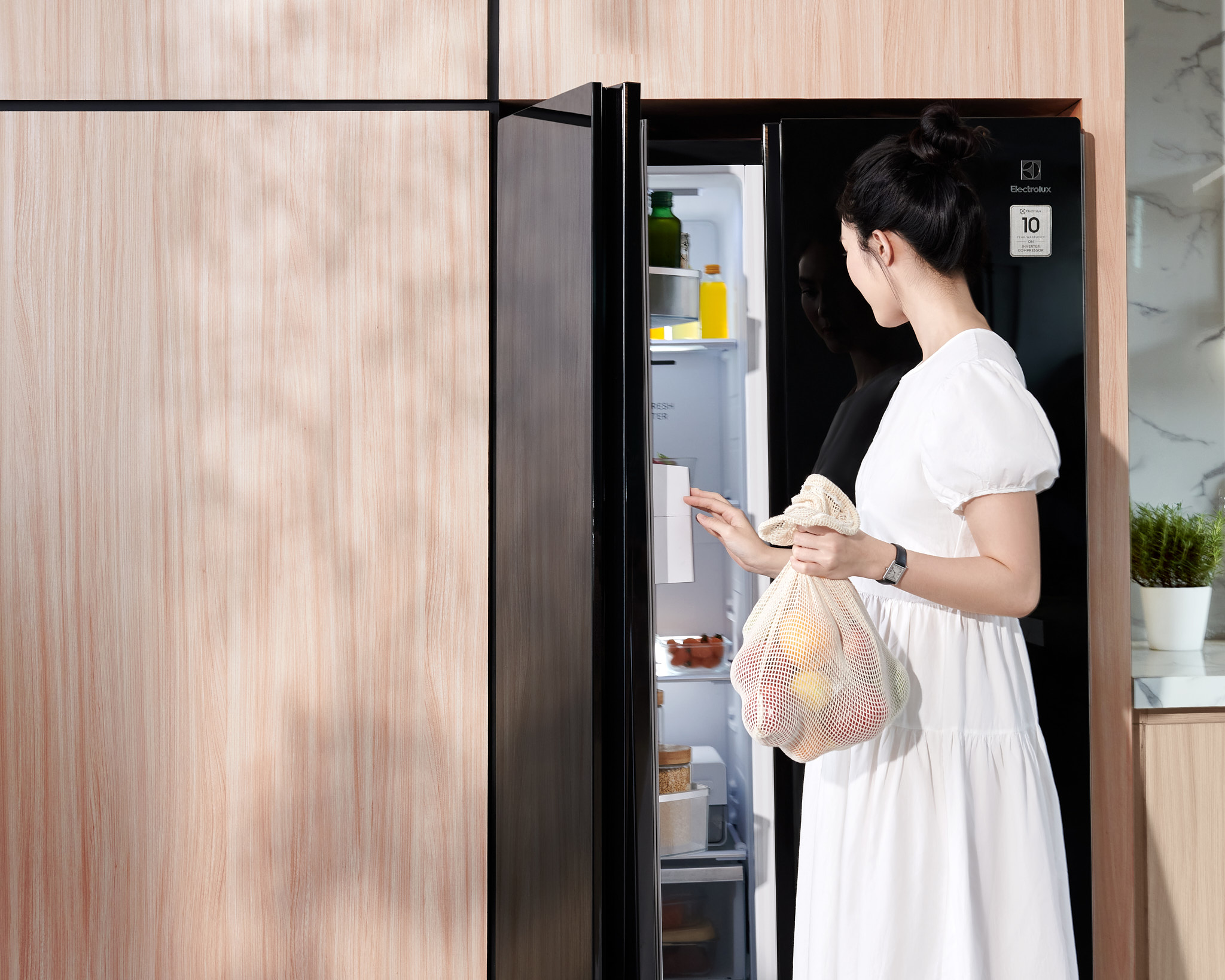 Electrolux_11182